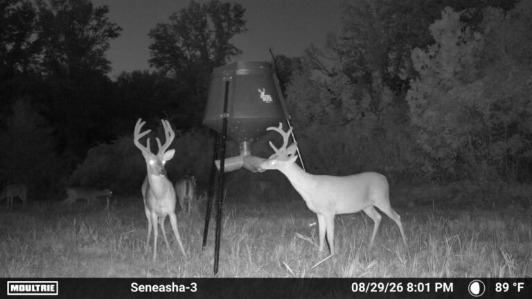 MOULTRIE DIGITAL CAMERA