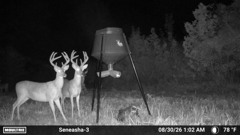 MOULTRIE DIGITAL CAMERA