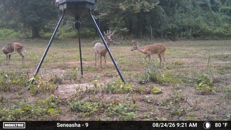 MOULTRIE DIGITAL CAMERA