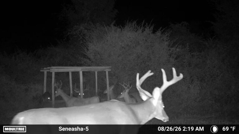 MOULTRIE DIGITAL CAMERA