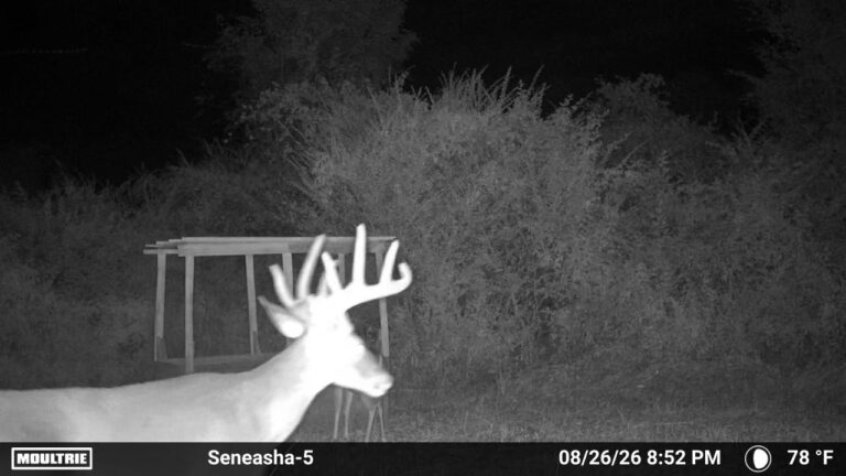 MOULTRIE DIGITAL CAMERA