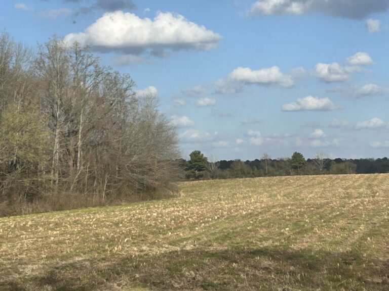 Old Hillsboro Road 2 (1)