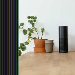 Security Systems Florida