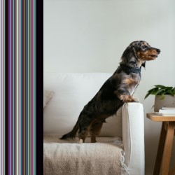Wireless Alarm System Florida