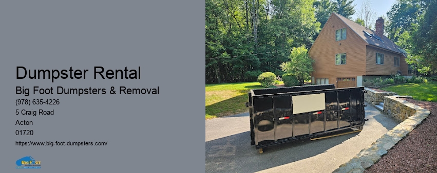 large dumpster rental cost