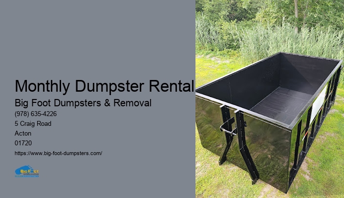 demo dumpster rental