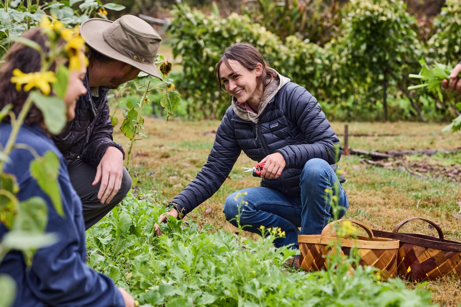 AI SEARCH 251017 Blackberry Farm Card 03 0491