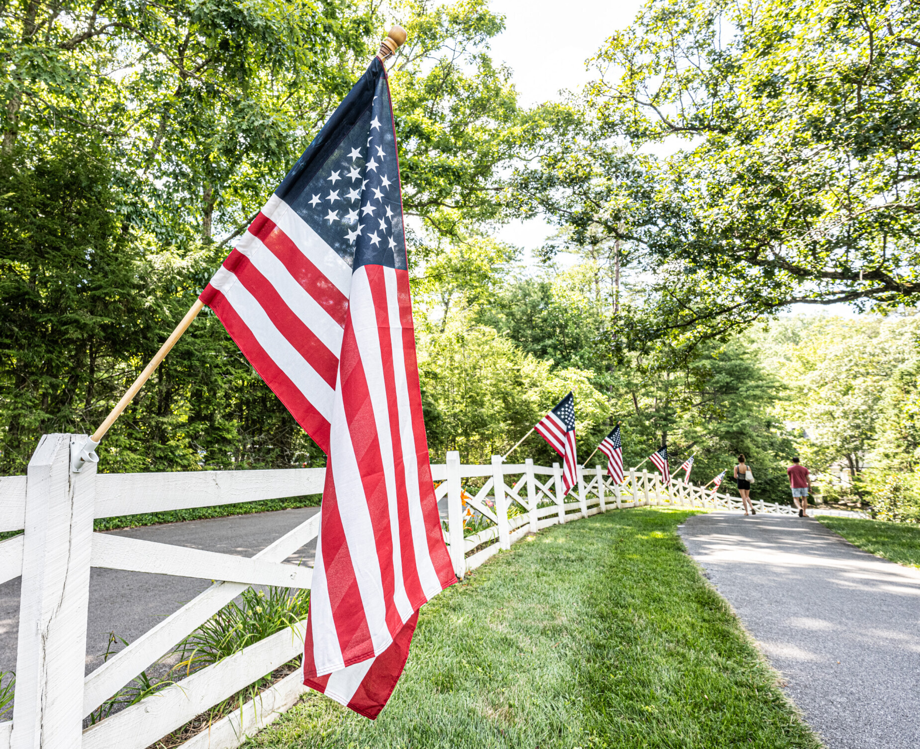 Fence Line of Flags
