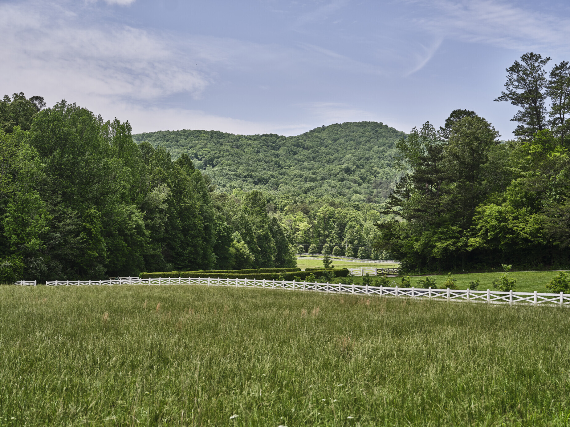 Mountain Scenic