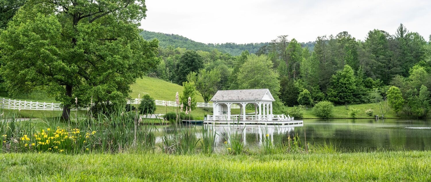 Web JPG BF 24 05 06 RAU SPRING 7329