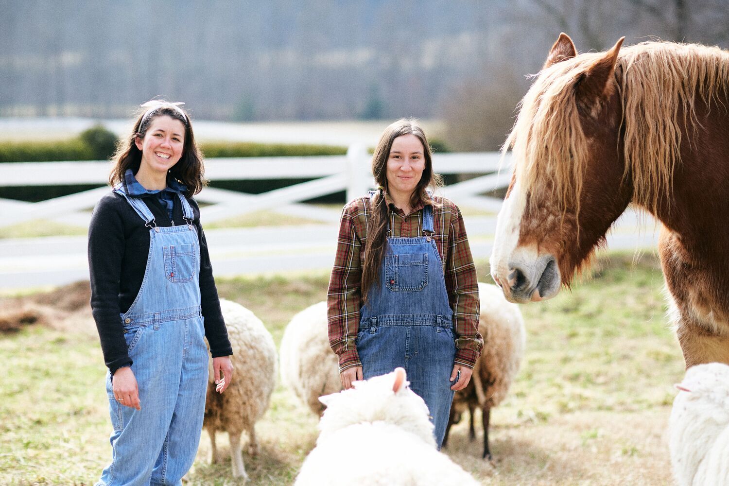 Web JPG Band T 20180213 629