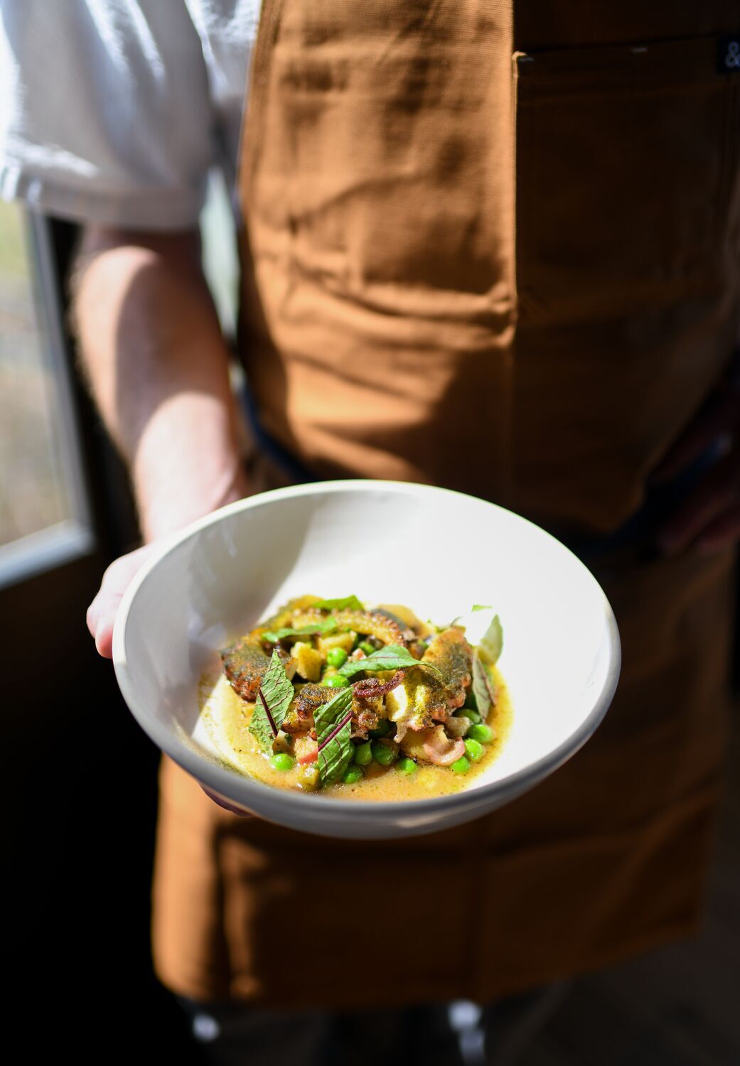 Dish from the Firetower