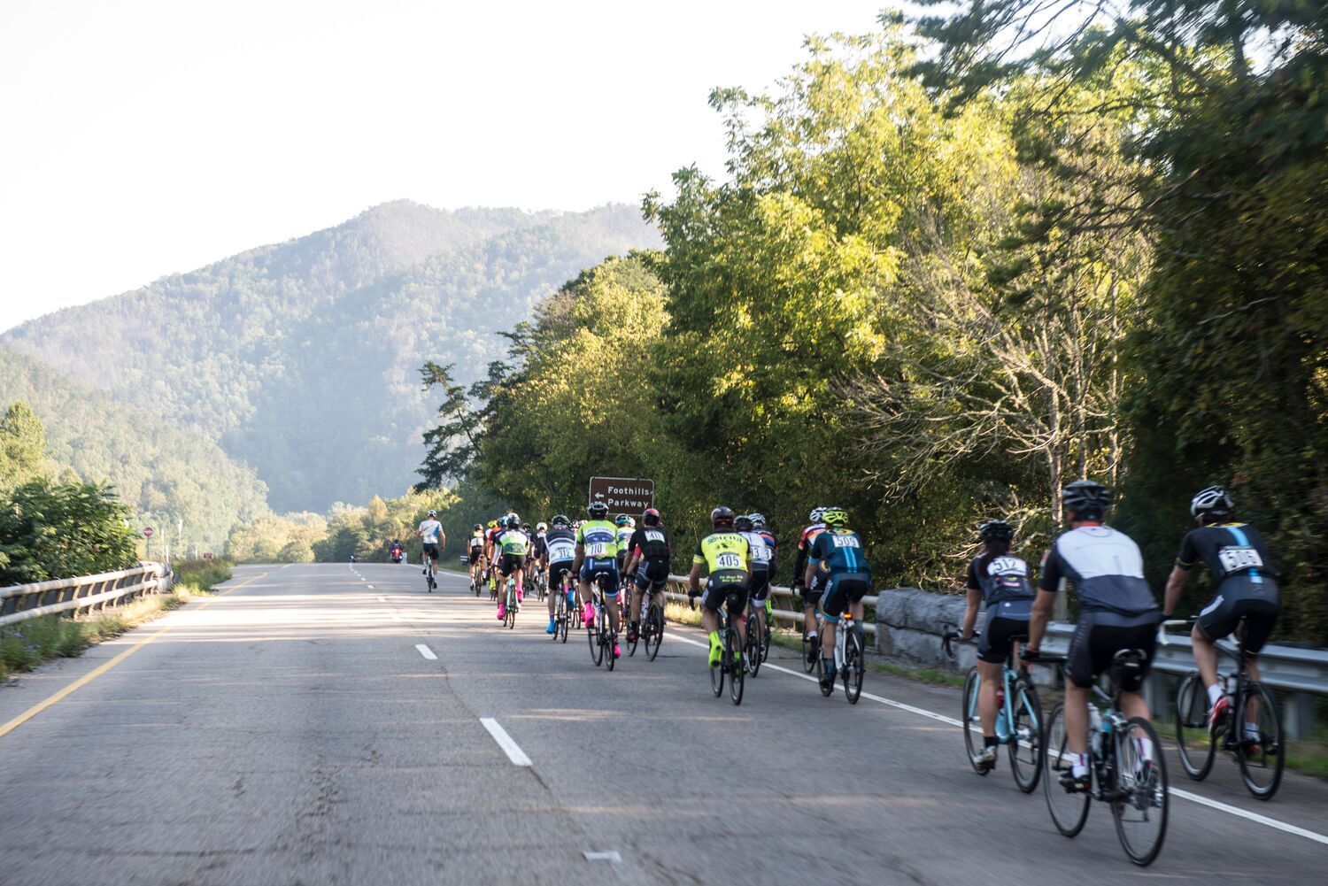 Cyclists