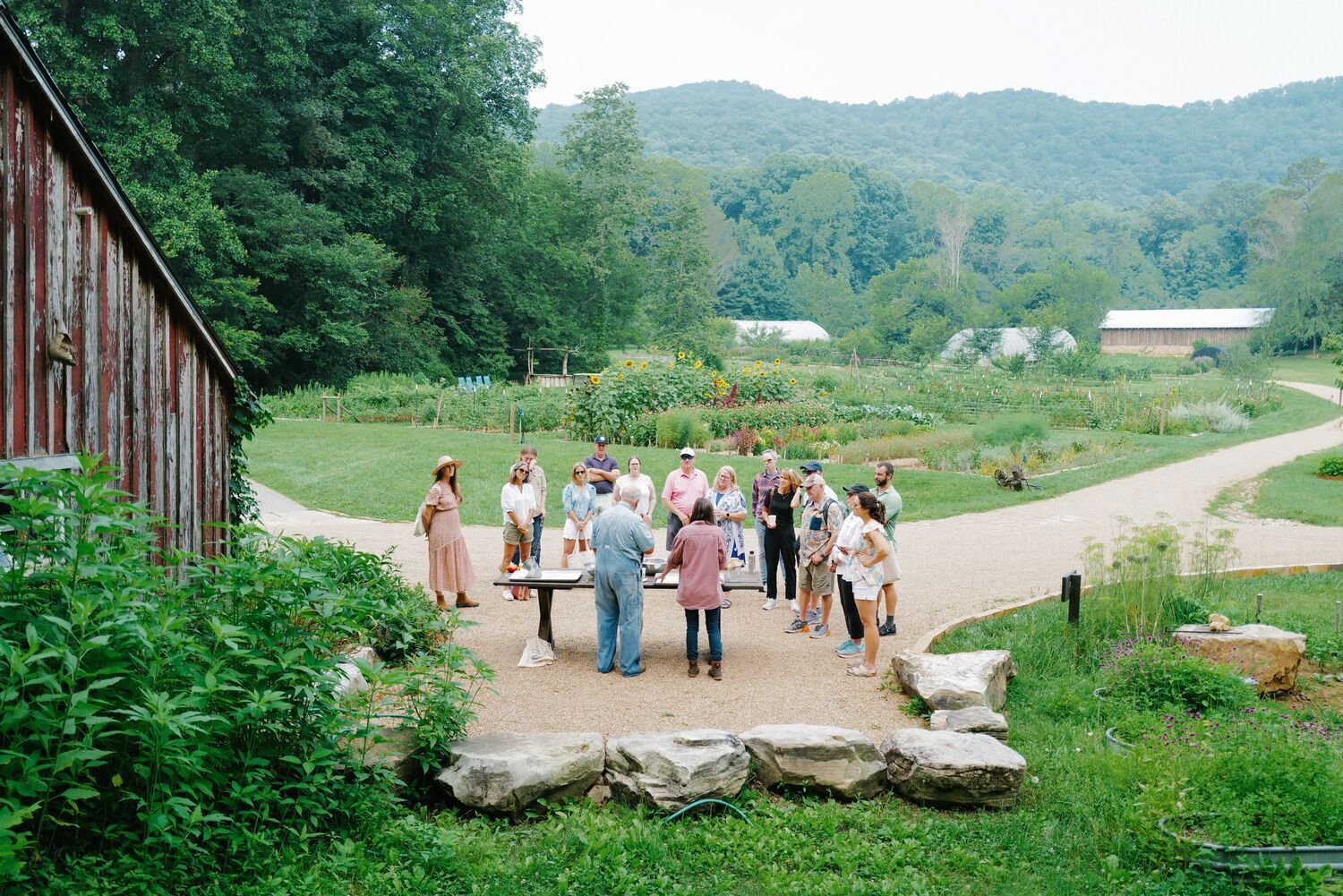 People Gathered in the Garden