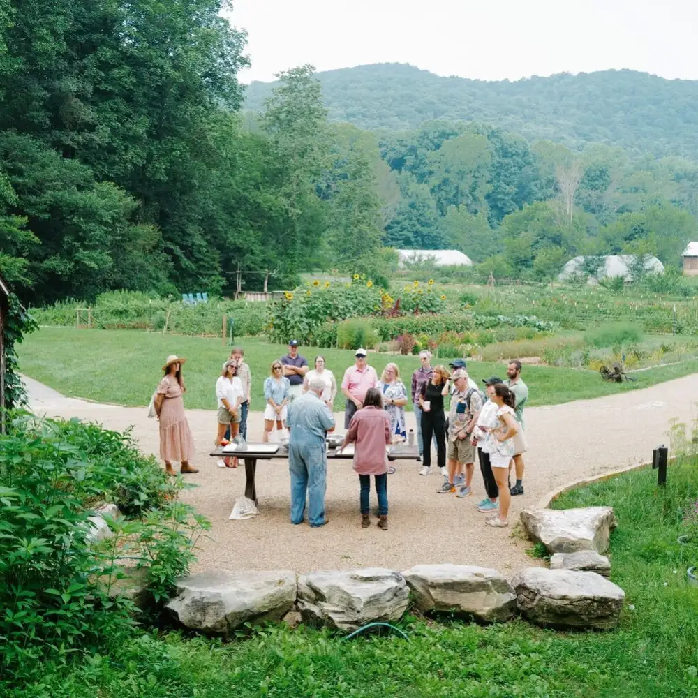 People Gathered in the Garden