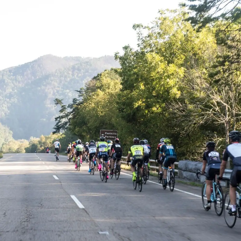 Cyclists