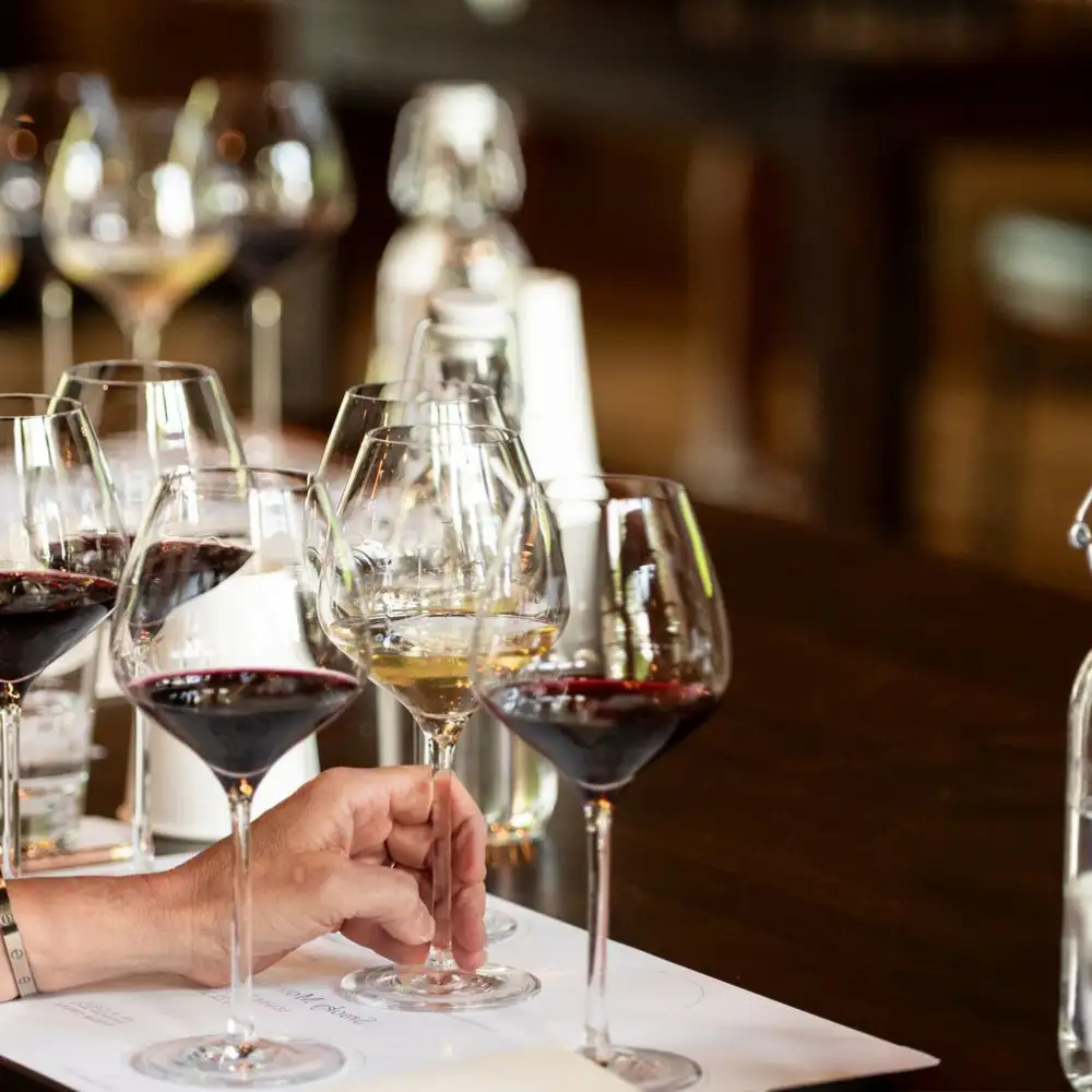 Wine Tasting