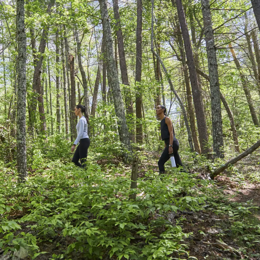 Deep Healing Woods Hike