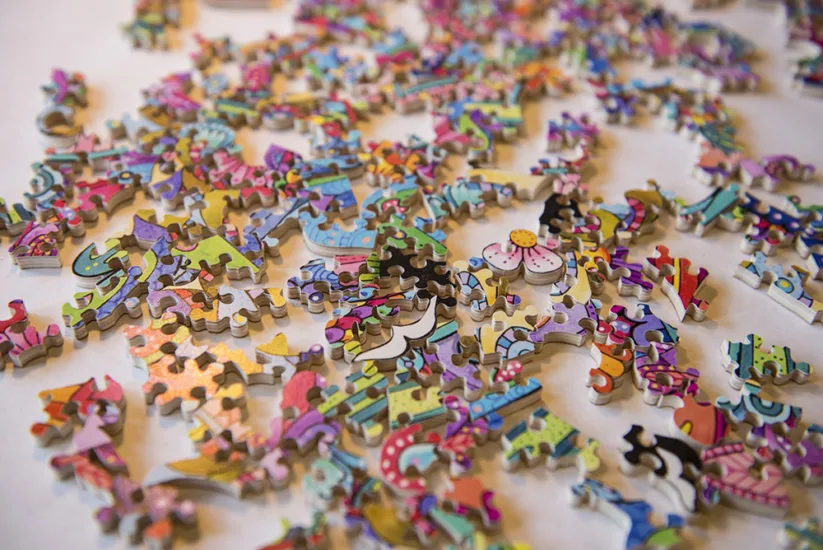 Puzzle Pieces