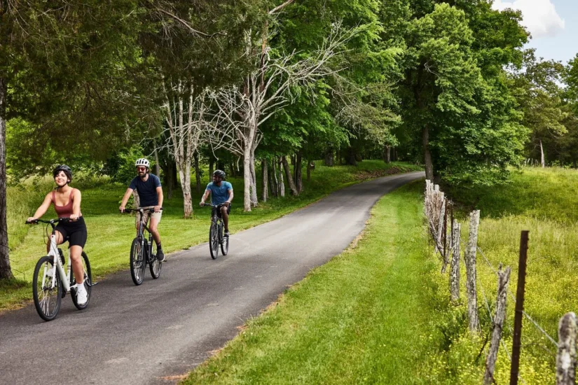 Guests Biking on Paved Path