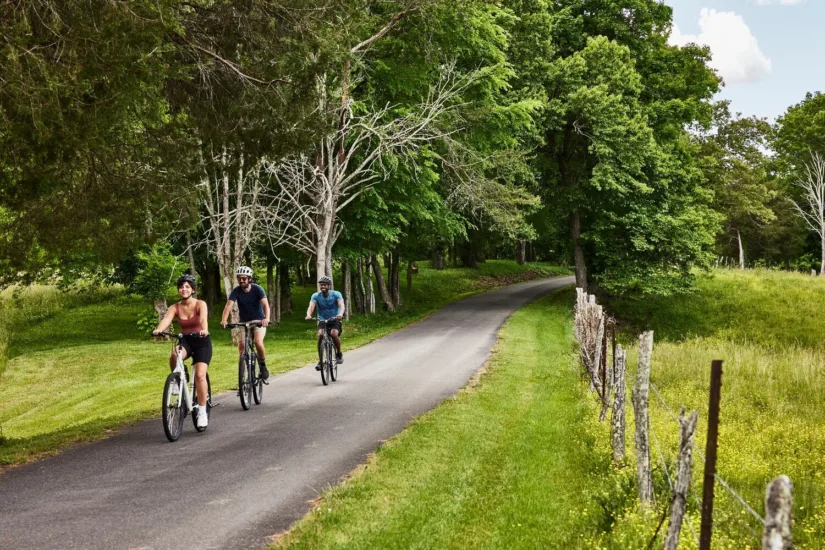 Guests Cycling on Paved Road