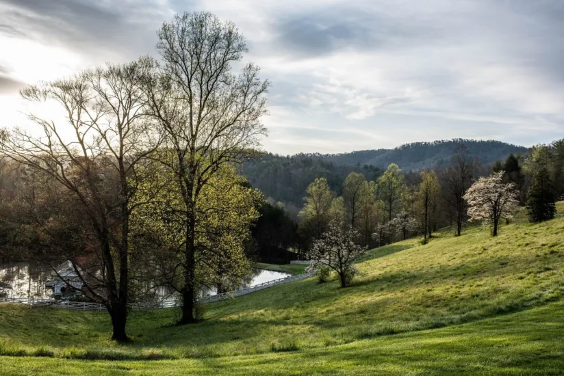 Spring Mountain Scenery