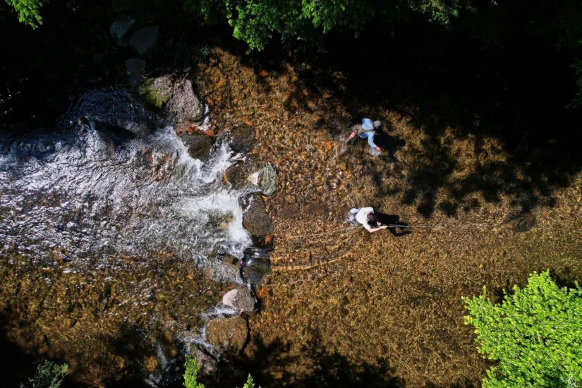 Overhead View of Fly Fishing Stream