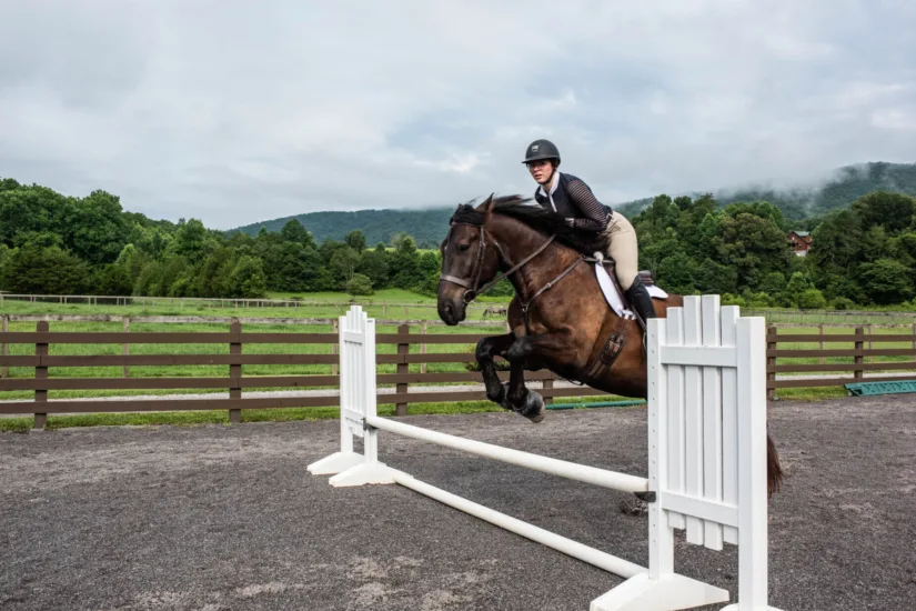 Guest Riding Horseback in Arena