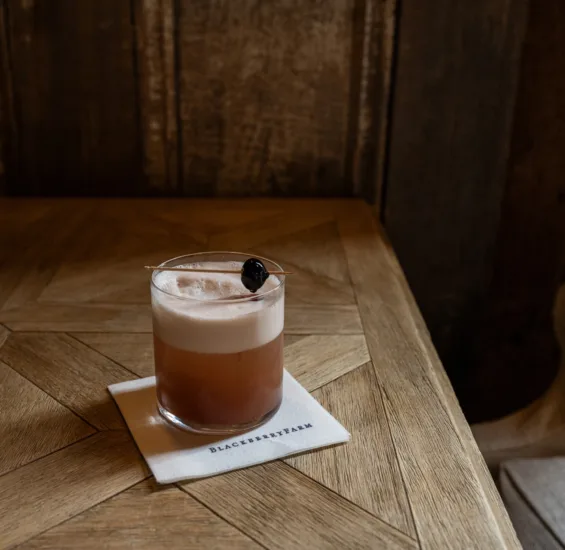 Sloe Gin Fizz Cocktail