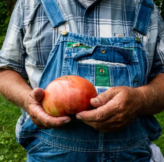 Farmer Holding Tomato
