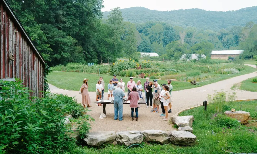 People Gathered in the Garden