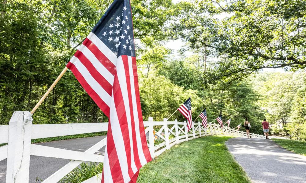Fence Line of Flags
