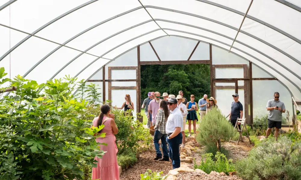 Guests in Hoop House