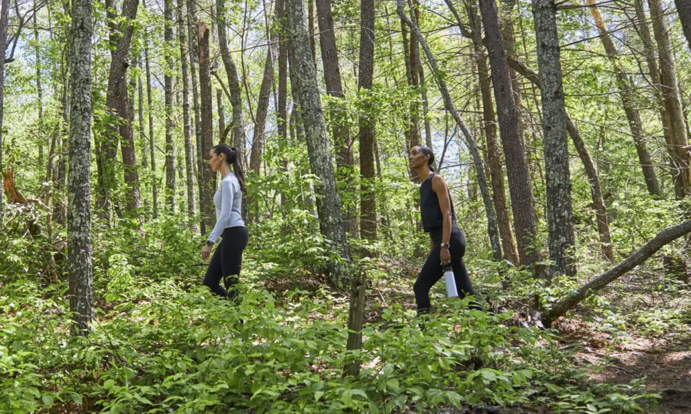 Deep Healing Woods Hike