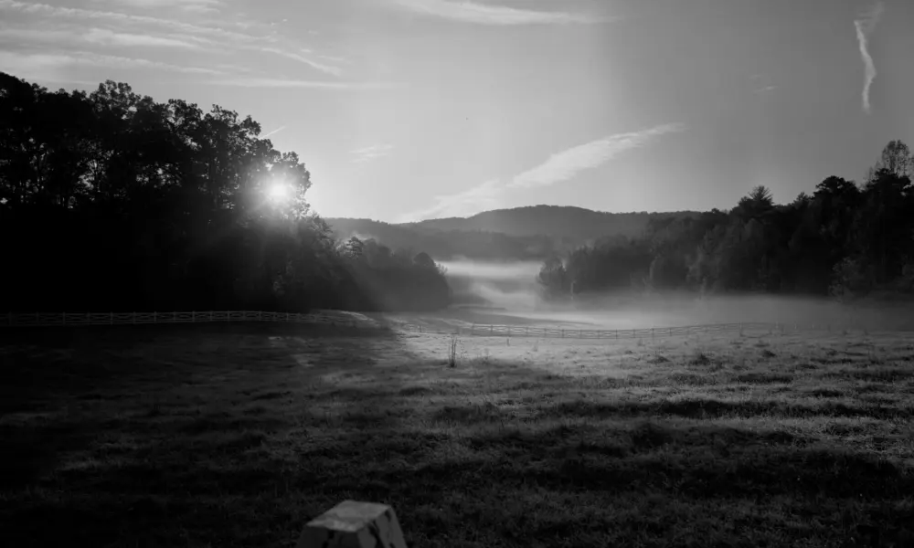 Film Art of Blackberry Farm