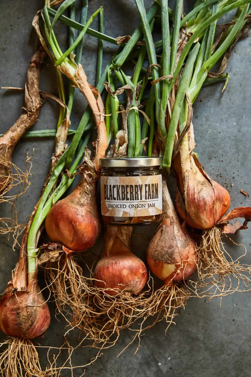 BM 20 07 IP Catalog 052 A2516 1