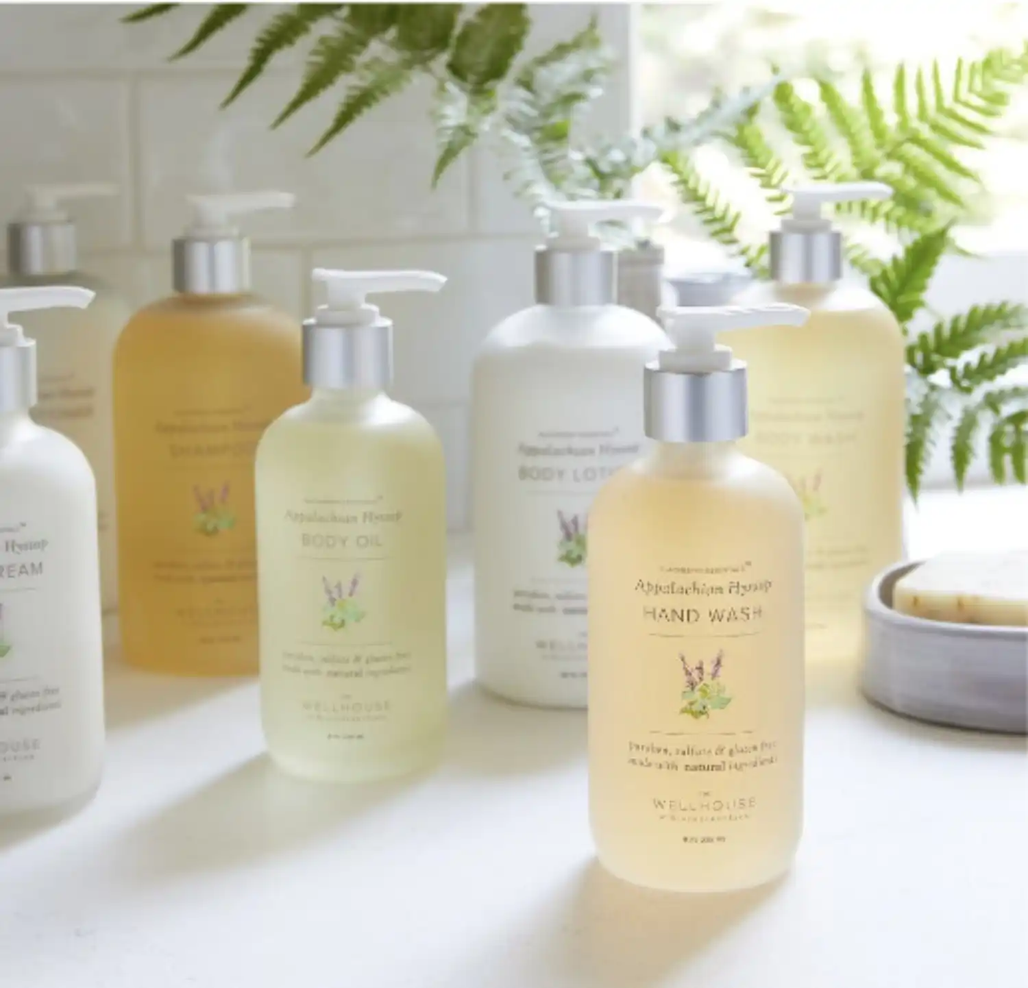 Appalachian Hyssop Wellhouse Products