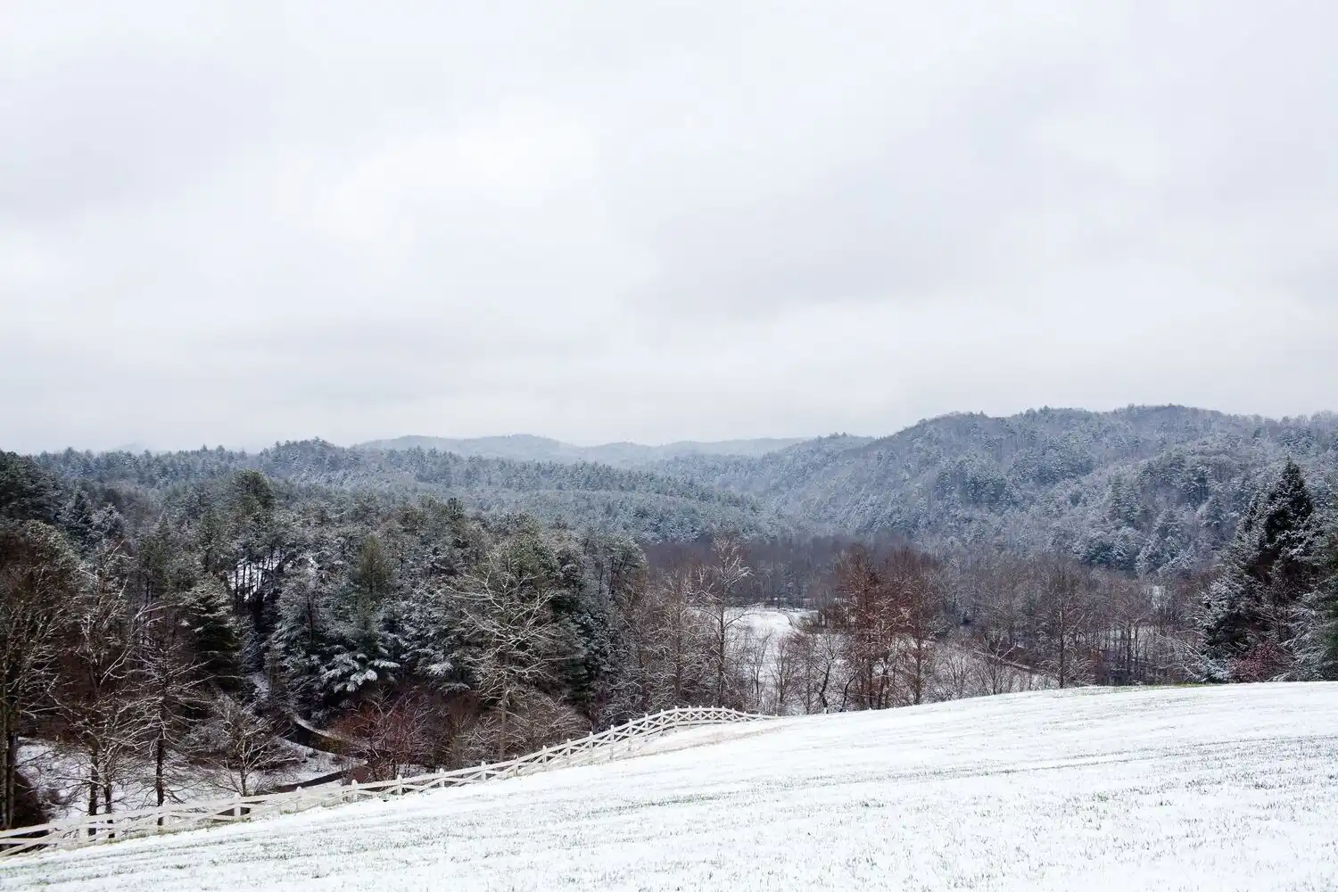 Winter Scenery