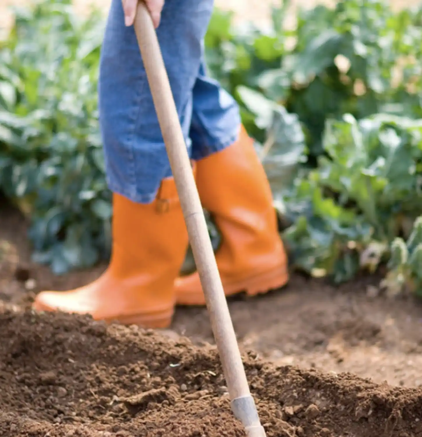 Child Working in a Garden