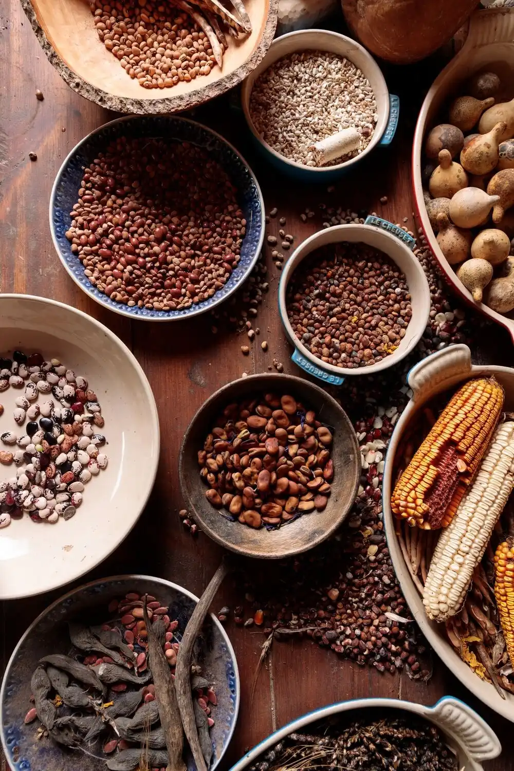 Variety of Dried Seeds