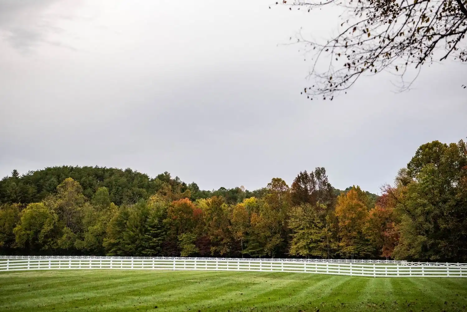 Fenceline in the Fall