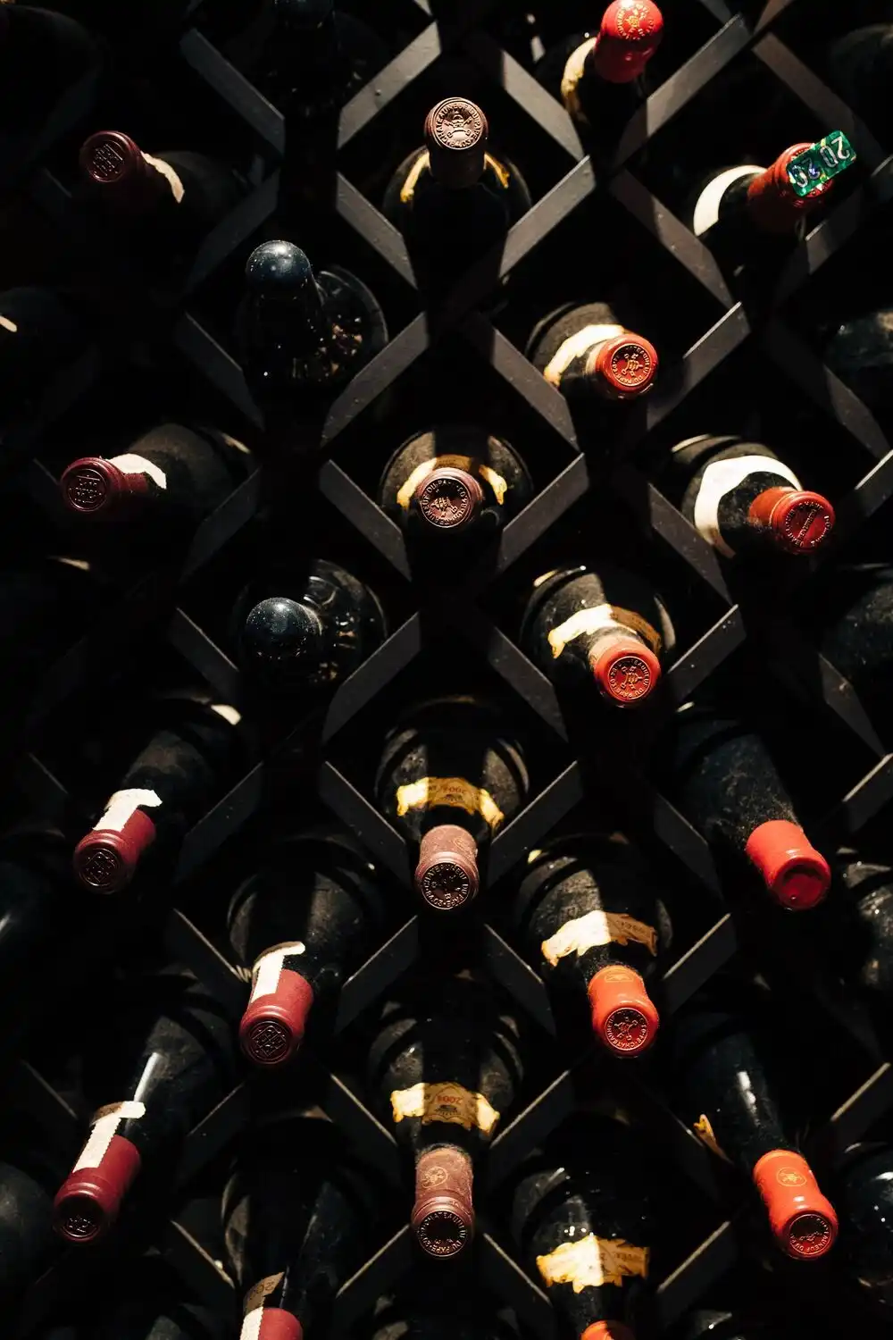Wine Bottles in the Cellar