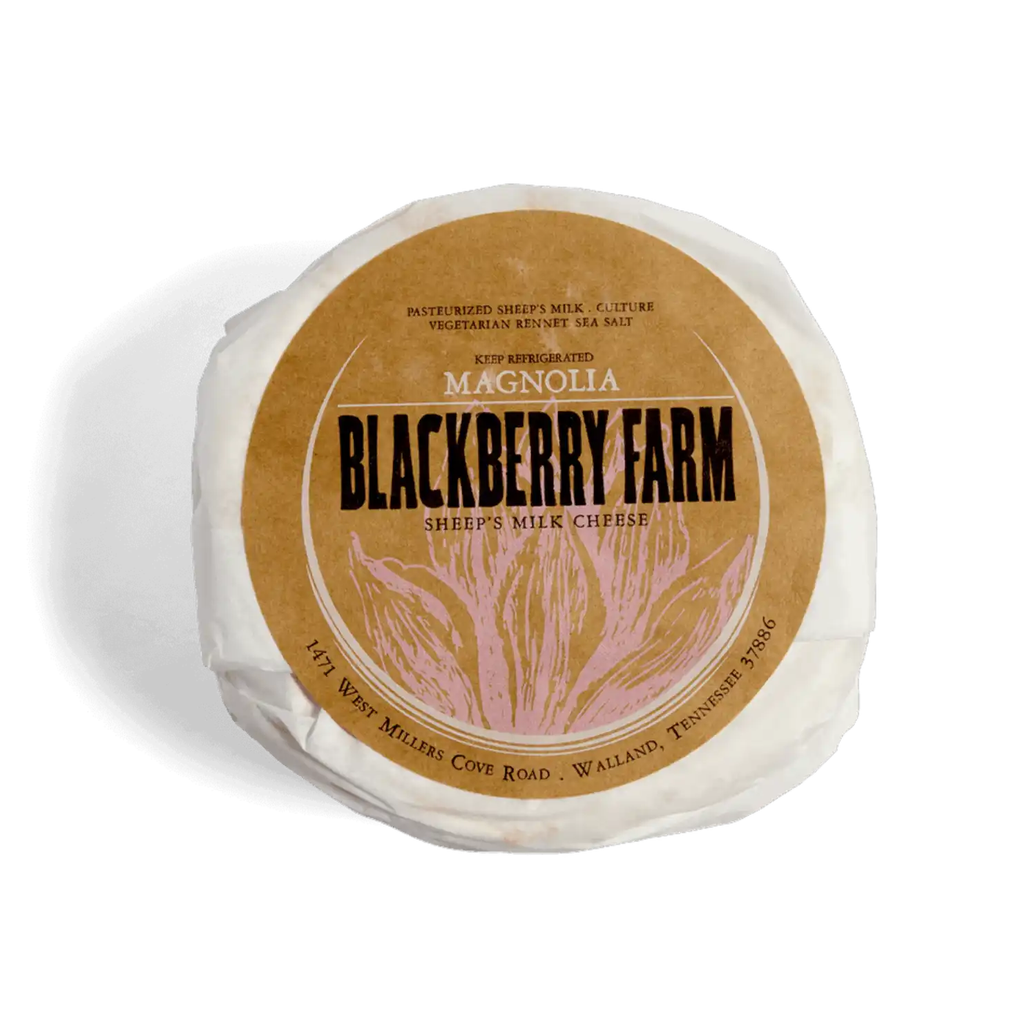 Magnolia Cheese