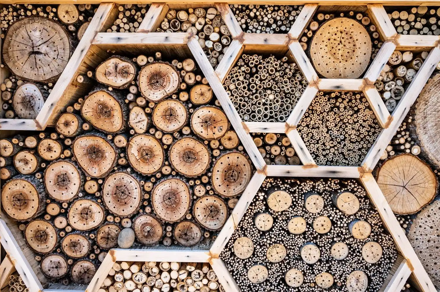 Pollinator Wall in the Garden