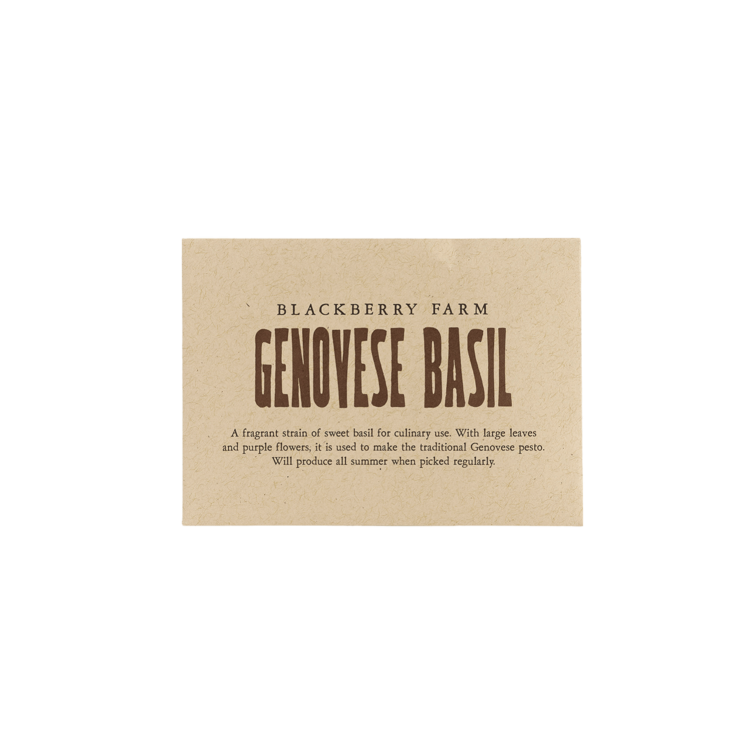 Genovese Basil