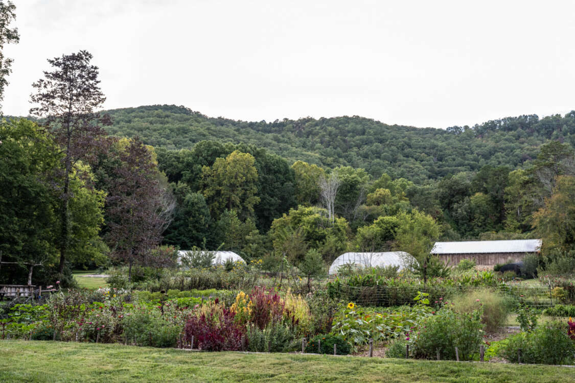 The Garden