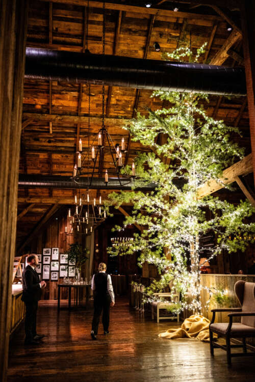 The Barn Christmas Tree