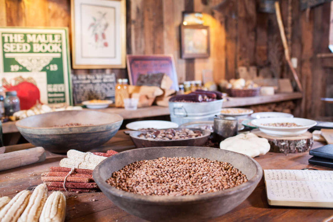 Seed Preservation