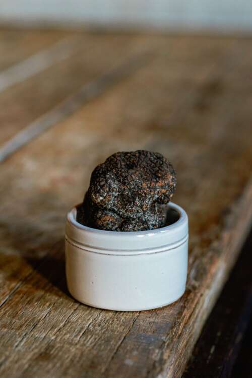 Truffle