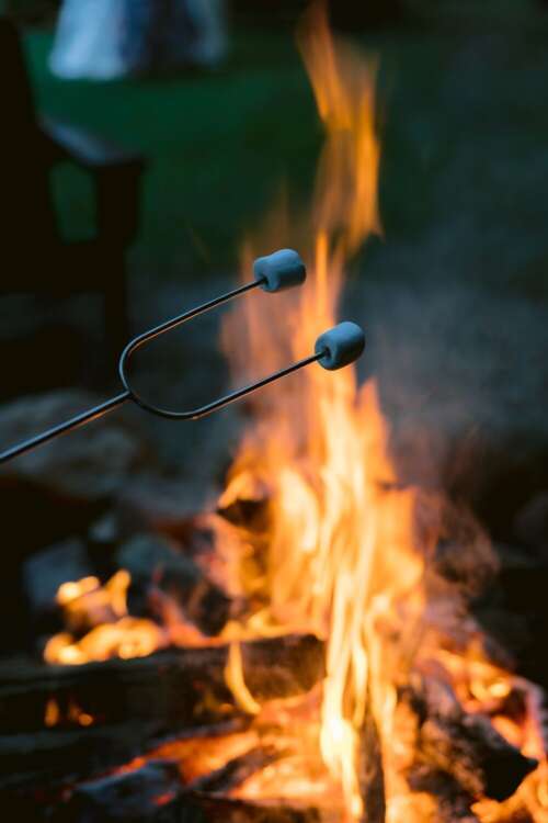 Roasting Marshmellows